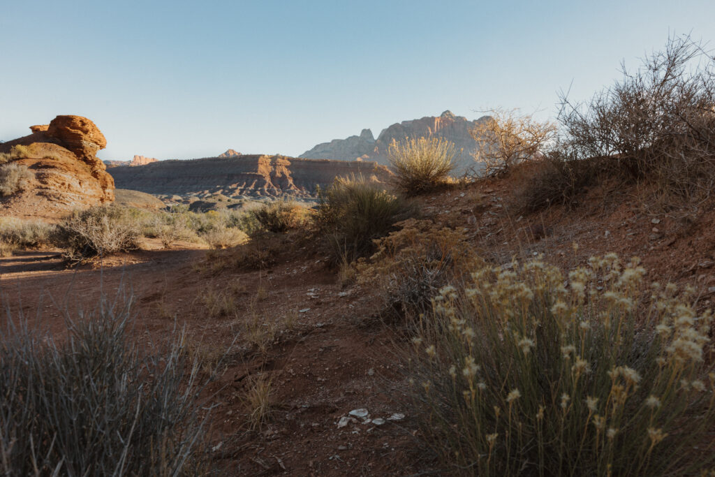 Moab desert elopement